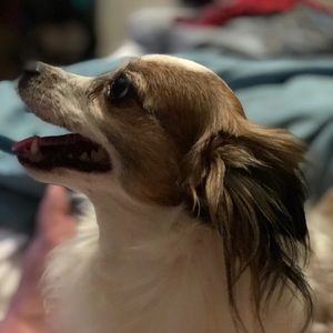 Meet your Posher, Natalie